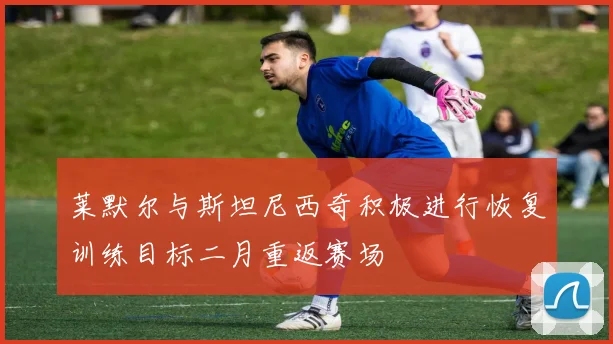 莱默尔与斯坦尼西奇积极进行恢复训练目标二月重返赛场