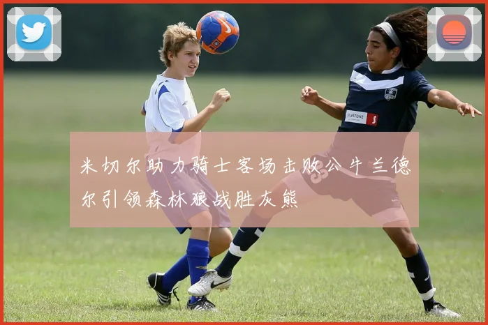 米切尔助力骑士客场击败公牛兰德尔引领森林狼战胜灰熊