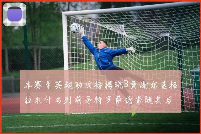 本赛季英超助攻榜揭晓B费谢尔基格拉利什名列前茅特罗萨德紧随其后